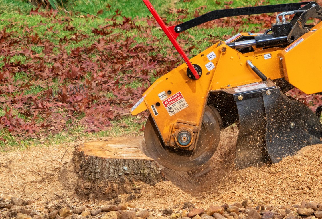 An image of Stump Grinding Services in Brookhaven GA